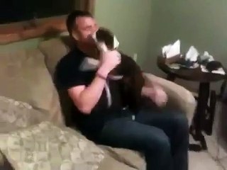 Soldier Reunites With His Puppy After 7 Months in Iraq