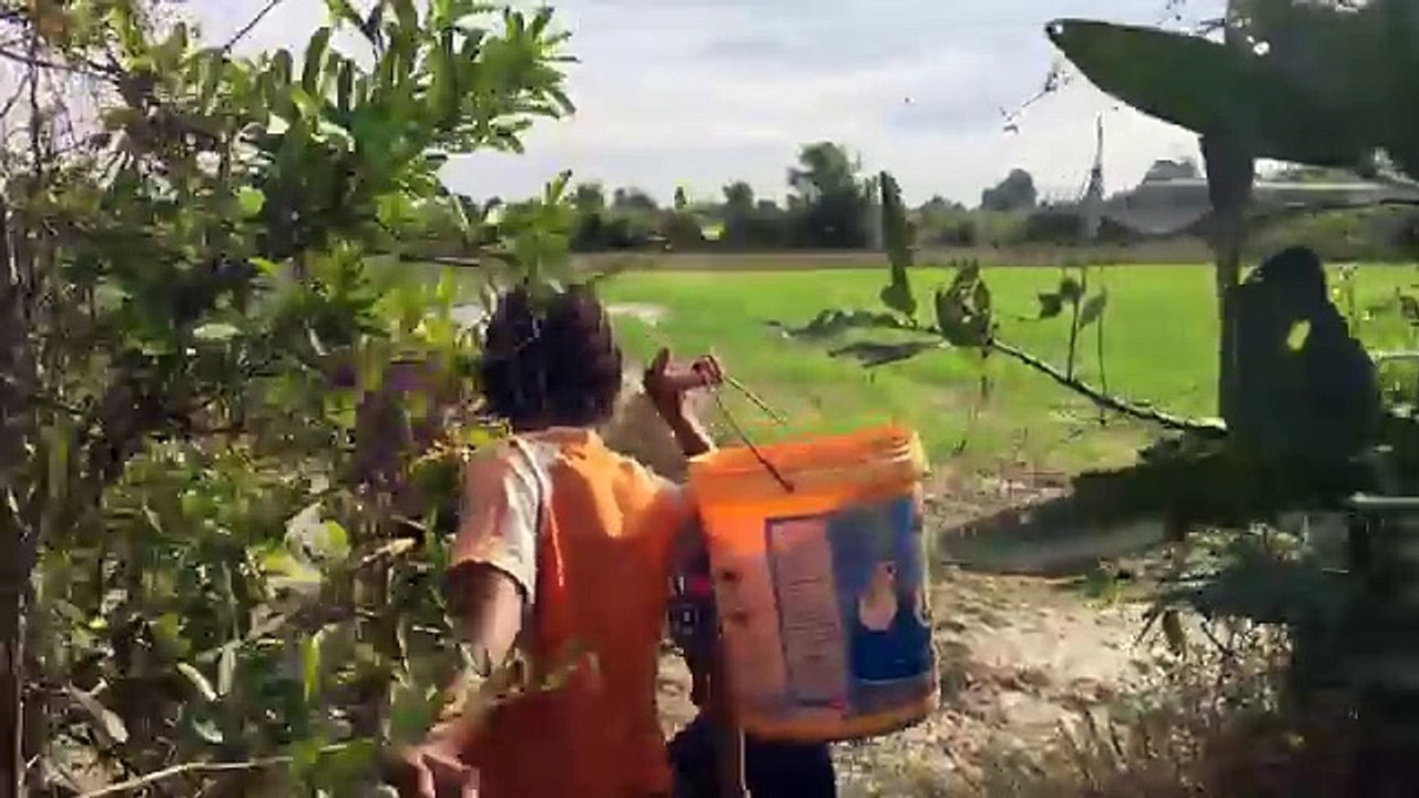 Wow! Amazing Children Fishing - How To Catch Fish By Hand In Cambodia - Catch A Lot Of Fish