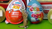 6 x Surprise , kinder joy , ozmo egg ,4 surprise ball , cool toys, jajko niespodzianka kinder .