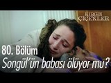 Songül'ün babası ölüyor mu? - Kırgın Çiçekler 80. Bölüm - atv