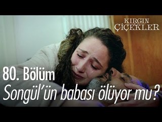 Songül'ün babası ölüyor mu? - Kırgın Çiçekler 80. Bölüm - atv