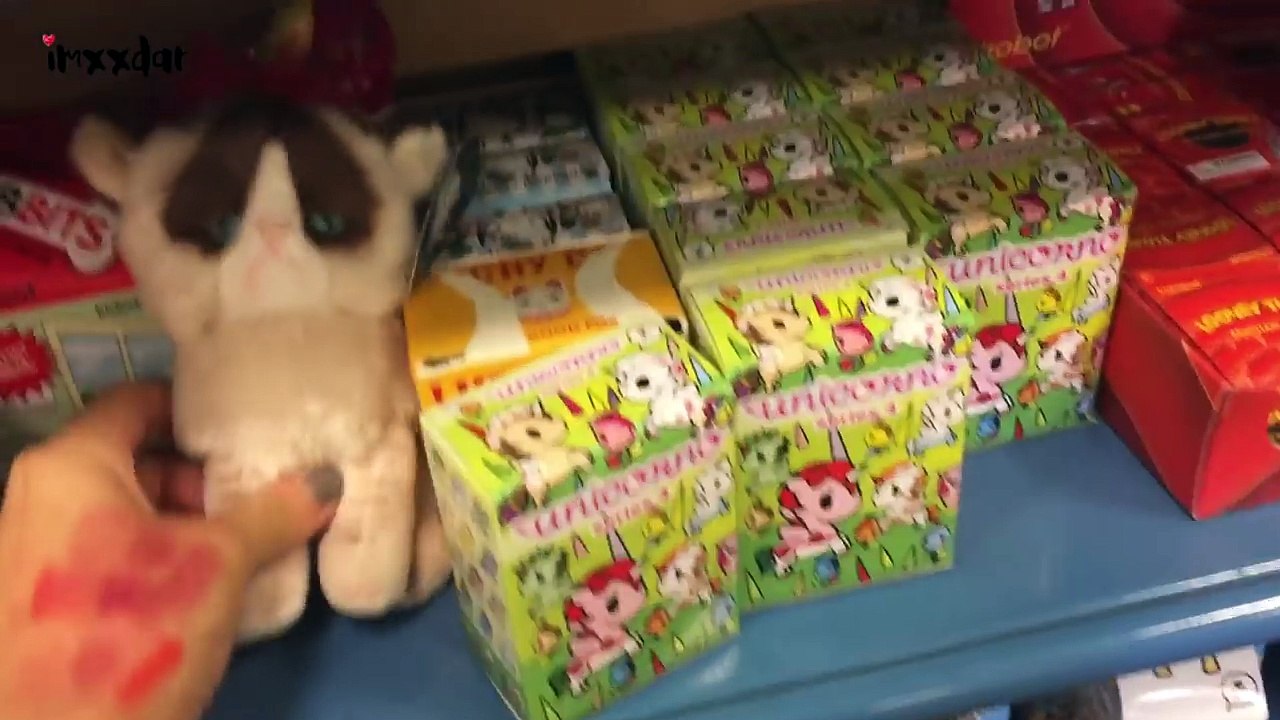 다르의 미국일상 브이로그