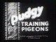 Betty Boop-Training Pigeons