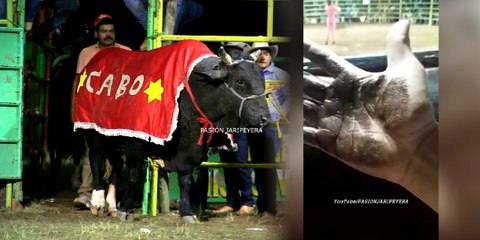 ACEITE EN MIS TOROS NO ES PARA TIRAR JINETES: FAUSTO BRAMBILA! SELECCION JALISCIENSE EN OAXACA 2017