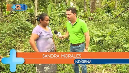 +QN 11 Octubre 2017