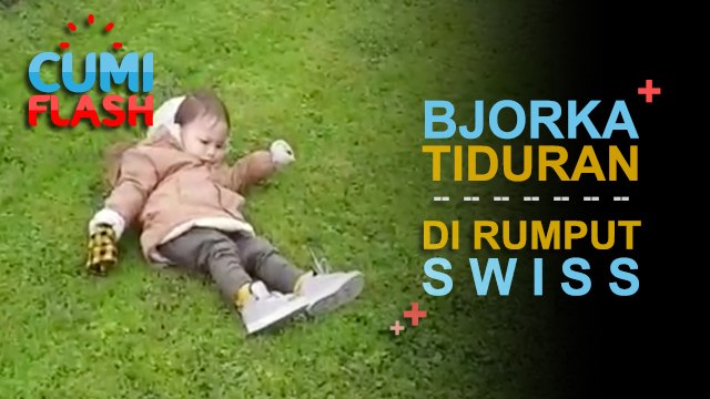 Jauh-jauh ke Swiss, Bjorka Malah Tidur di Rumput - CumiFlash 12 Oktober 2017