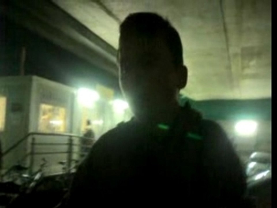 cagna Niko le retour