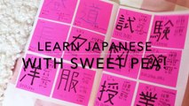 ☆How To Learn JAPANESE Hiragana & Katakana 〜(◕ω◕)/♥