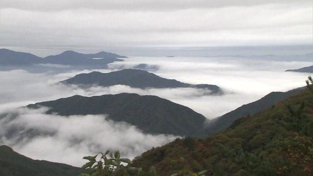 지정 50주년 맞은 1호 국립공원 지리산을 가다 / YTN
