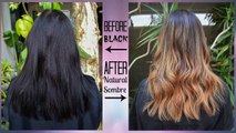 How To Remove Black Hair Color Safely Ft Pravana Color Extror