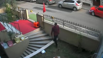 Pitbull' Cinsi Köpeği Önce Seven Sonra Çalan Hırsız Kamerada