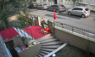 Önce Sevdi, Sonra Çaldı