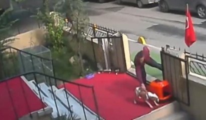 Önce sevdi, sonra çaldı