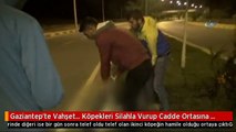 Gaziantep'te Vahşet... Köpekleri Silahla Vurup Cadde Ortasına Attılar