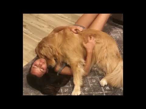 This Dog Gives His Owner the Perfect Welcome Home