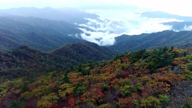 지정 50주년 맞은 1호 국립공원 지리산을 가다 / YTN