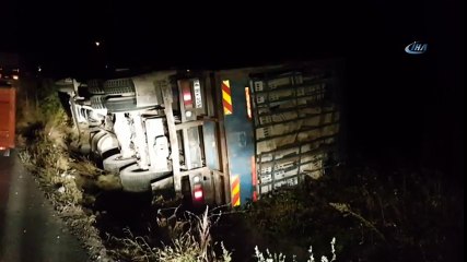 Tavuk Yüklü Kamyon Devrildi