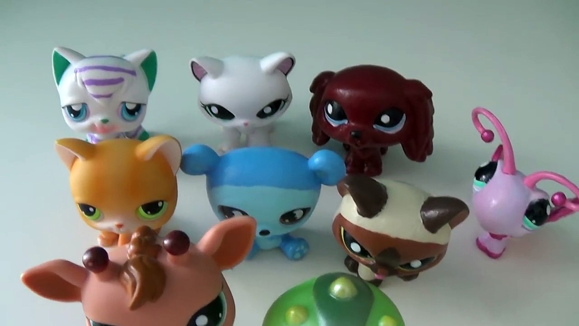 LPS: Customs Inspiration