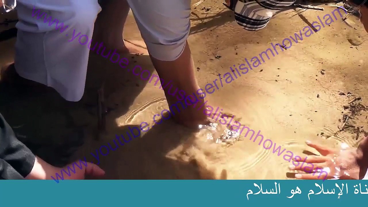 عيون موسى عليه السلام