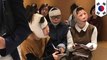 Operasi plastik, tiga wanita asal Cina tertahan di bandara Korea Selatan - TomoNews