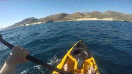 Kayak Fisherman Battles Hammerhead Shark