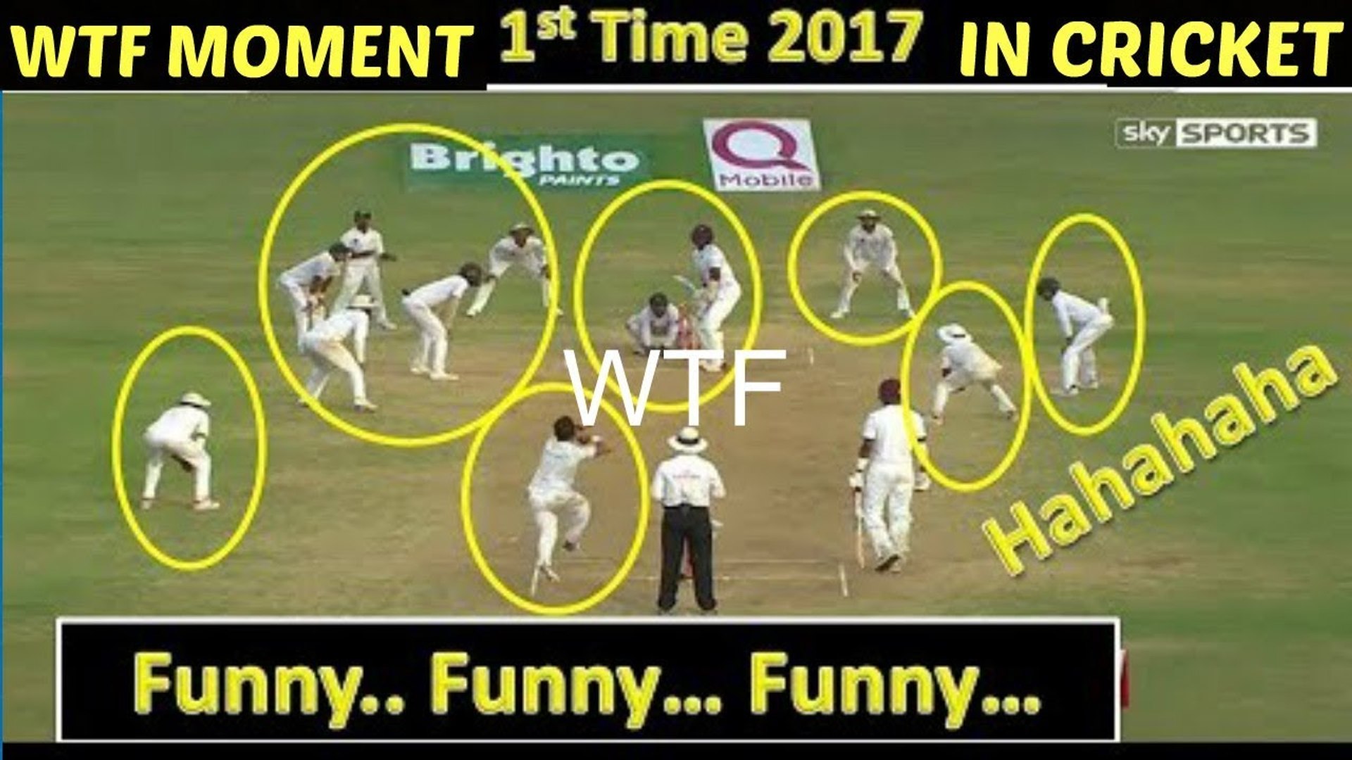 Cricket funny sales videos 2017