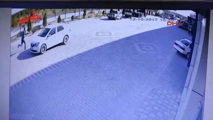 Konya Güvercinlerini Yediğini Öne Sürdüğü Köpeği Av Tüfeğiyle Yaraladı