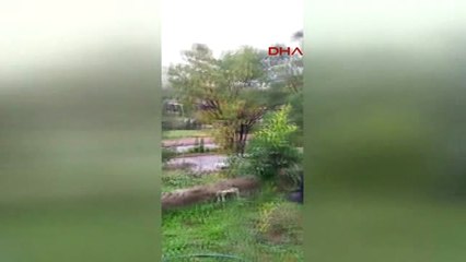 Trabzon -Kahraman'a Ktü Çıkışında Protesto 6 Gözaltı