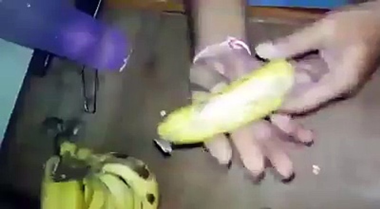 22462669_1730827590560347_3566372956621766656_n