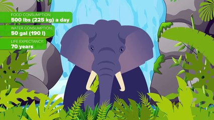 What Are the LARGEST Creatures That Exist RIGHT NOW?