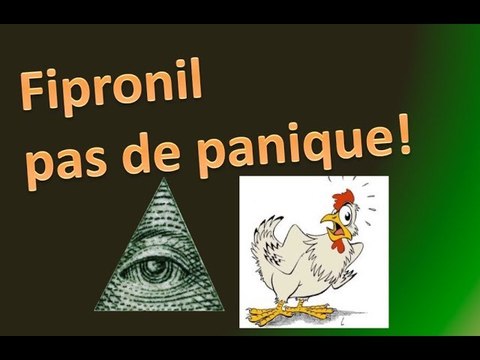 09 * Fipronil et oeufs contaminés, pas de panique!
