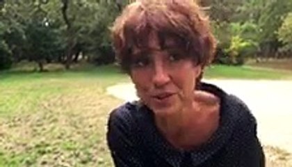 "Les Métamorphoses" d'Ovide par Marie Cosnay