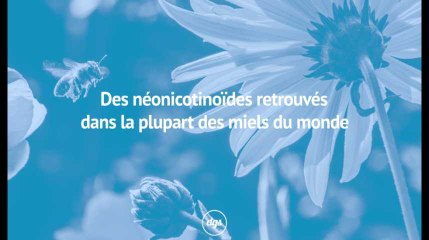 Des néonicotinoïdes retrouvés dans des miels du monde entier