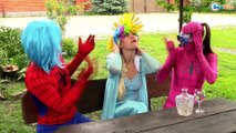 Spiderman & Frozen Elsa & Pink Spidergirl Gets Rainbow Hair! Funny Superheroes