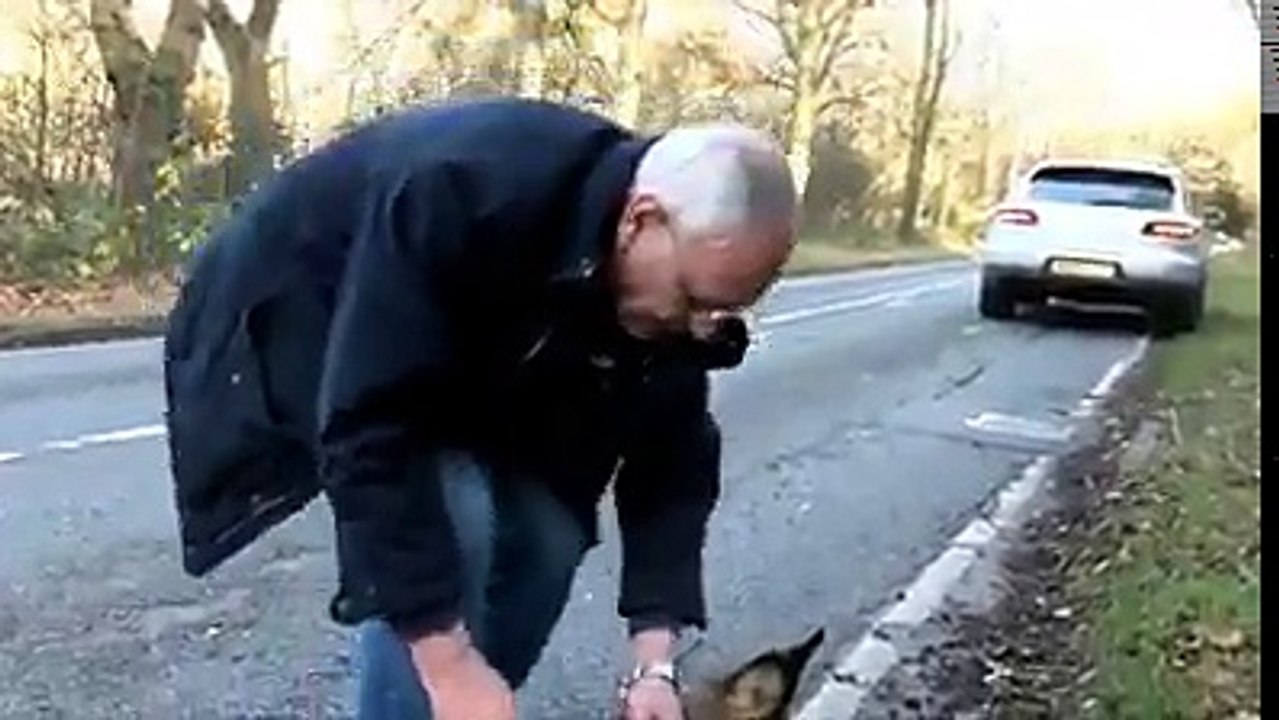 Deer rescue