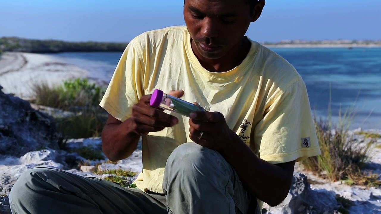 Baobabs between Land and Sea