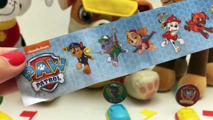 Paw Patrol Surprise Eggs Huevos Sorpresa de la Patrulla Canina Paw Patrol Toys
