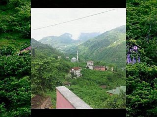 Araklı Değirmencik Köyü