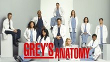 Grey's Anatomy S14E04 Full Series (Ain't That a Kick in the Head) ~ HD