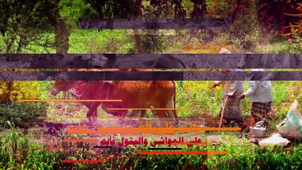 فؤاد الكبسي ارجع لحولك 2017