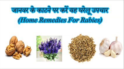 जानवर के काटने पर करें यह घरेलू उपचार (Home Remedies For Rabies)