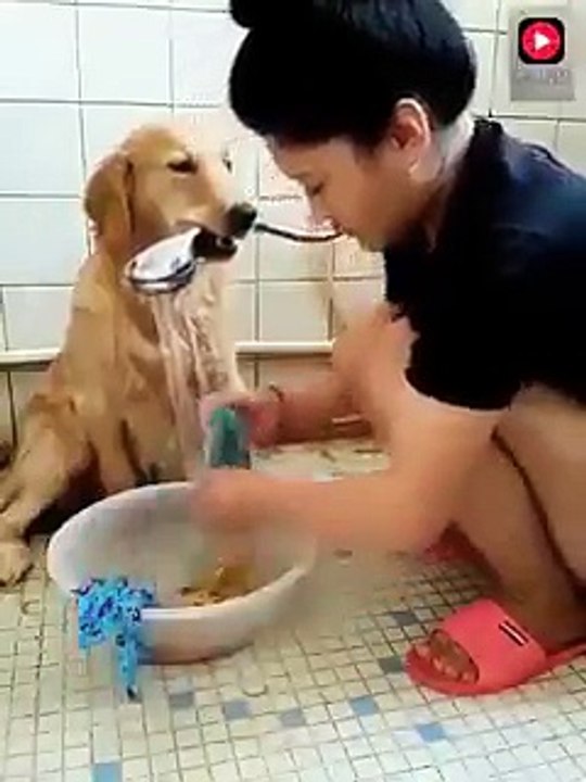 Dost dediğin, seni kötü günde teselli eder, sağlığını düşünür ve seni olduğun gibi kabul eder. Videoda olduğu gibi.