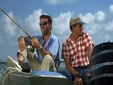 Flipper 1964 S02e15 Flipper,The Detective