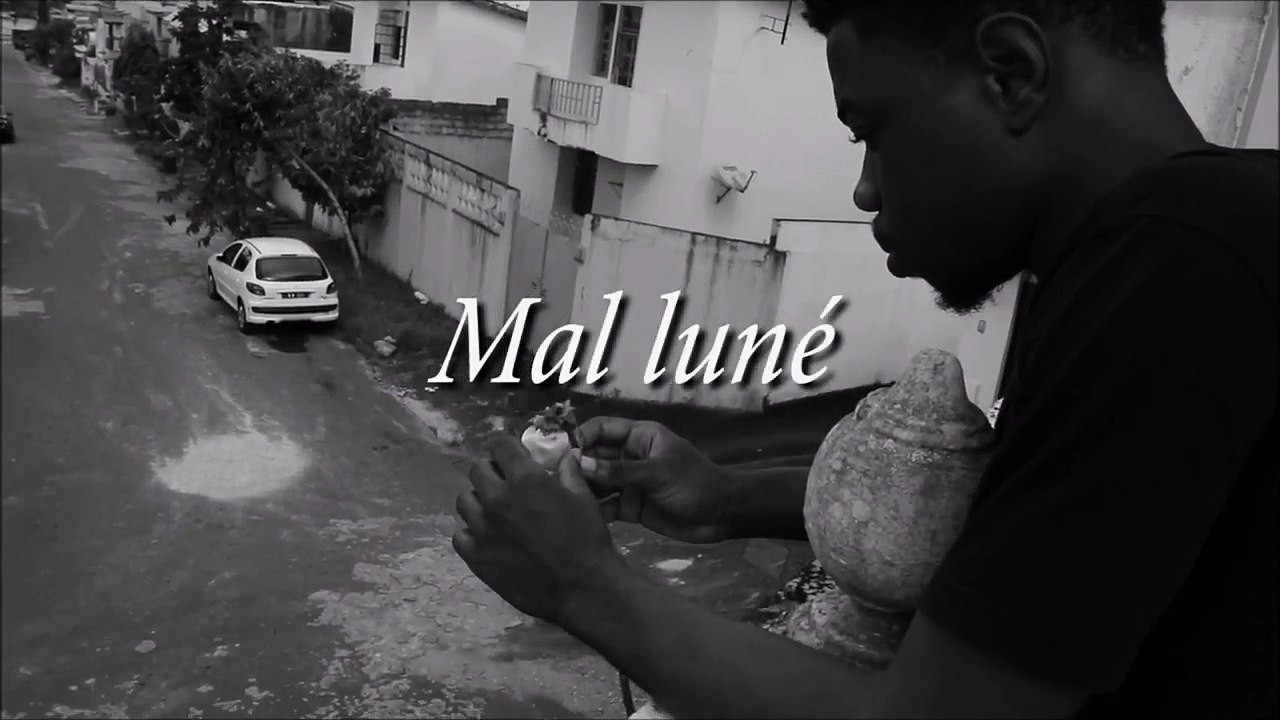 SpeedHermann - Mal Luné (Clip Street)