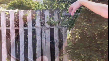 Samsung Galaxy S6 Edge Durability Drop Test