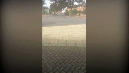 Dog owner fined for dragging puppy on lead down the street - Metro