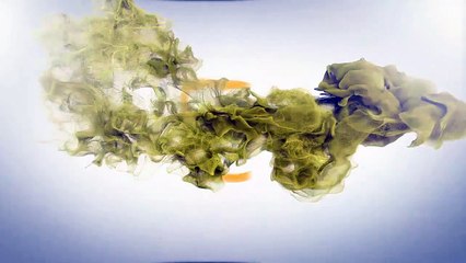 (PUNTO C) Los Tres Editores SAS pregunta 1 lenguaje 7