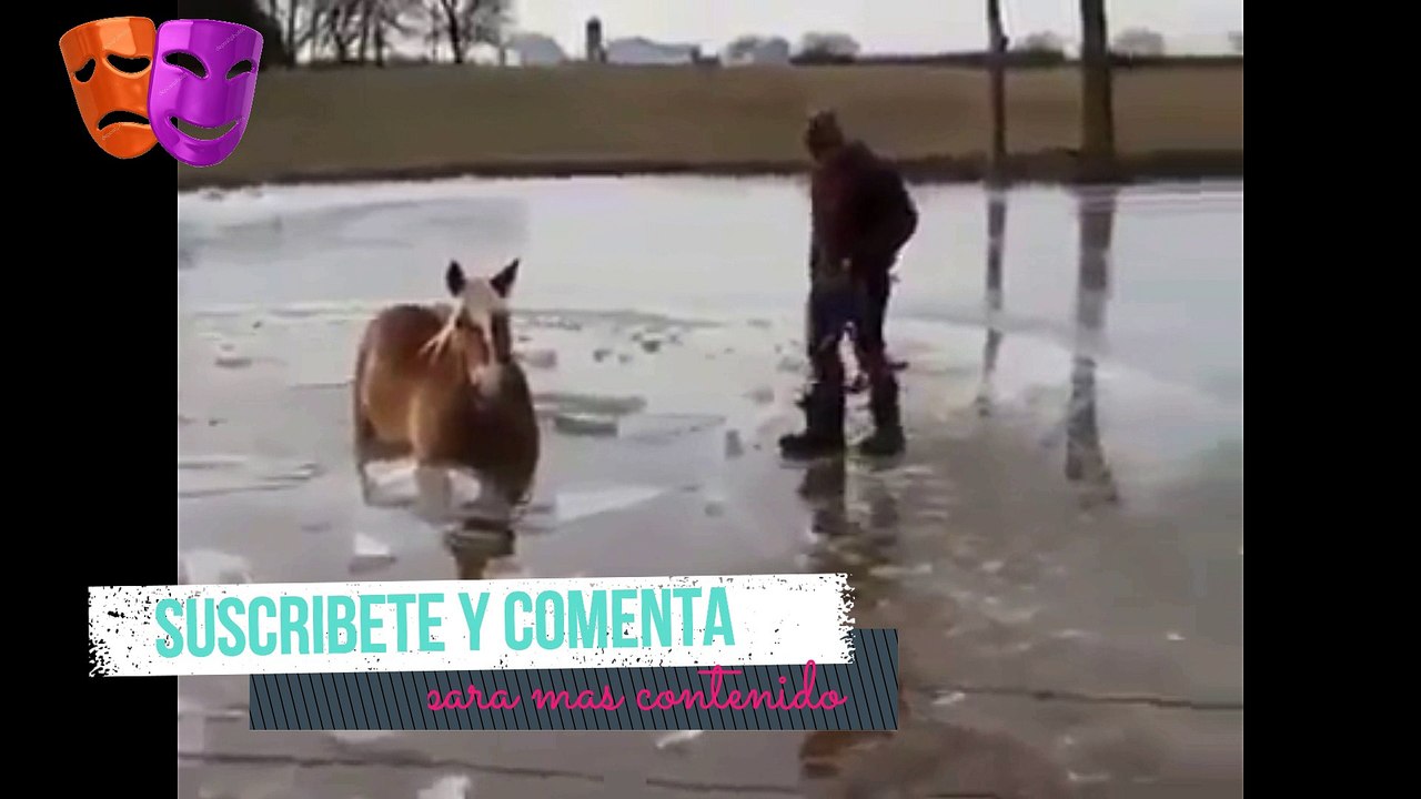 Video Rescate de Caballo en lago congelado 2017