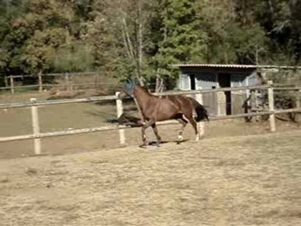 ○◘ Kiss Me Au Pré ◘○