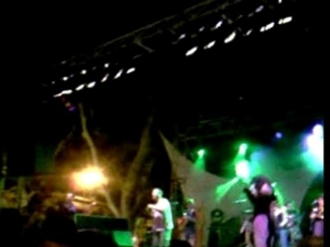 Concert Ricoune La vache